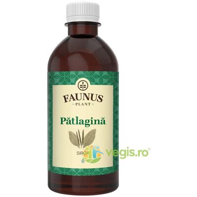 Inny producent Syrop z babki lancetowatej 500ml Inny producent Syrop z babki lancetowatej 500ml