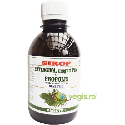 Inny producent Syrop z babki lancetowatej, pąki sosny i propolis dla diabetyków 200ml Inny producent Syrop z babki lancetowatej, pąki sosny i propolis dla diabetyków 200ml