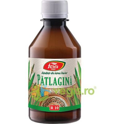 Inny producent Syrop z babki lancetowatej (R10) 250ml Inny producent Syrop z babki lancetowatej (R10) 250ml