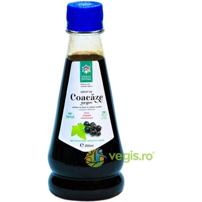 Inny producent Syrop Z Czarnej Porzeczki Tłoczony Na Zimno 250ml Inny producent Syrop Z Czarnej Porzeczki Tłoczony Na Zimno 250ml