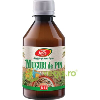 Inny producent Syrop z pączków sosny (R12) 250ml Inny producent Syrop z pączków sosny (R12) 250ml