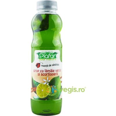 Inny producent Syrop Z Zielonej Limonki i Cynamonu 500ml Inny producent Syrop Z Zielonej Limonki i Cynamonu 500ml
