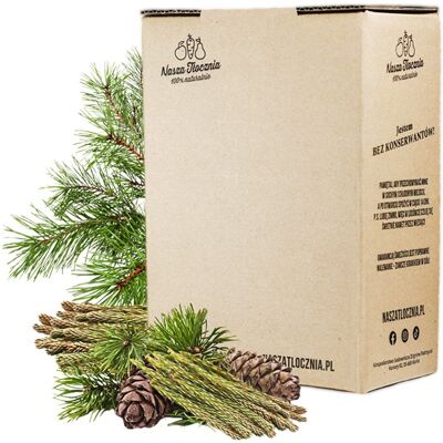 Nasza Tłocznia Syrop z Pędów Sosny niskosłodzony 3kg Nasza Tłocznia Syrop z Pędów Sosny niskosłodzony 3kg