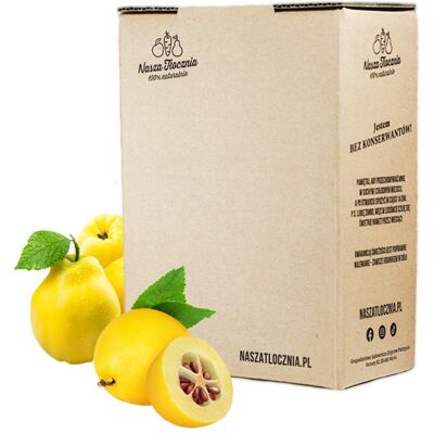 Nasza Tłocznia Syrop z Pigwowca niskosłodzony 3kg Nasza Tłocznia Syrop z Pigwowca niskosłodzony 3kg
