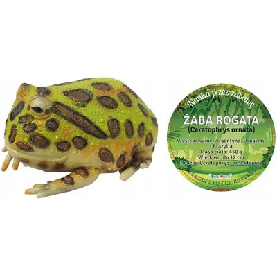 Norimpex Żaba Rogata 22 Cm Długości Norimpex Żaba Rogata 22 Cm Długości