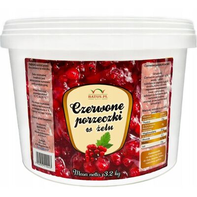 Batus Czerwona Porzeczka W Żelu 65% Fruzelina 3,2 Kg Batus Czerwona Porzeczka W Żelu 65% Fruzelina 3,2 Kg