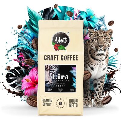 Mott Coffee Kawa Ziarnista 1kg Z Polskiej Plantacji Mott W Kostaryce Arabica Speciality Mott Coffee Kawa Ziarnista 1kg Z Polskiej Plantacji Mott W Kostaryce Arabica Speciality