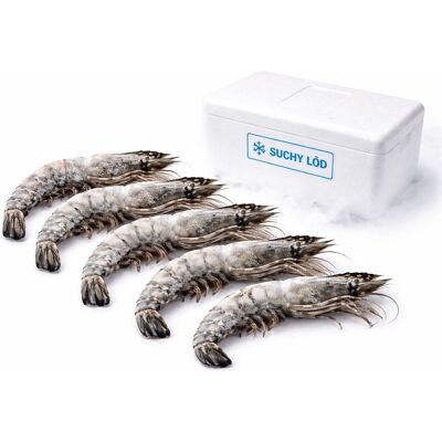 Schronisko Bukowina Krewetki 6/8 Black Tiger surowe z głową z ogonem 20% 800g Schronisko Bukowina Krewetki 6/8 Black Tiger surowe z głową z ogonem 20% 800g
