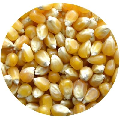 DEPTANA Kukurydza POPCORN Premium Naturalna 25kg DEPTANA Kukurydza POPCORN Premium Naturalna 25kg