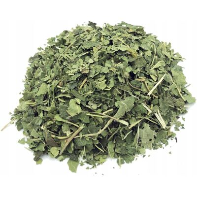 NATURALNY.SKLEP.PL Liść Morwy Białej Morwa Cięta 10 Kg 100% Naturalny NATURALNY.SKLEP.PL Liść Morwy Białej Morwa Cięta 10 Kg 100% Naturalny