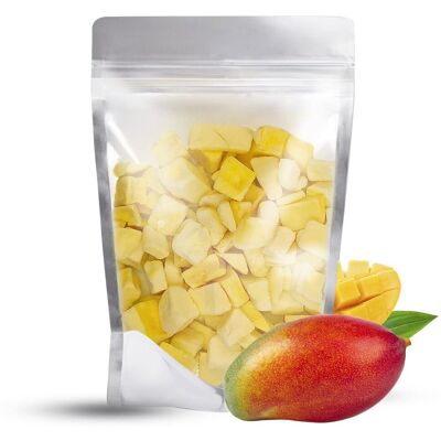 Jedwabny Szlak Mango LIOFILIZOWANE DUŻE kawałki świeże owoce 200g KLASA A Jedwabny Szlak Mango LIOFILIZOWANE DUŻE kawałki świeże owoce 200g KLASA A