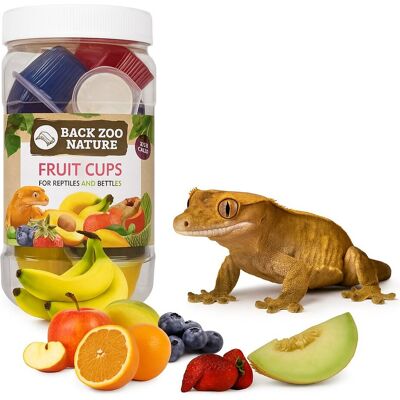 BACK ZOO NATURE Owocowe galaretki dla gadów - mix smaków 24 sztuki BACK ZOO NATURE Owocowe galaretki dla gadów - mix smaków 24 sztuki