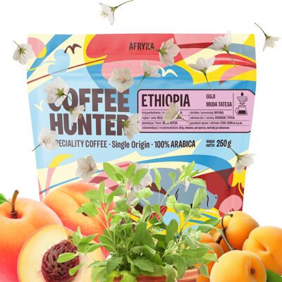 Hunter Ethiopia Guji Muda Tatesa (Kawa Specialty) 250g Hunter Ethiopia Guji Muda Tatesa (Kawa Specialty) 250g