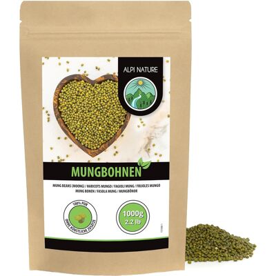 Inny producent Fasola Mung 1kg Zielona Do Gotowania Zup Smażona Naturalna Bezglutenowa Inny producent Fasola Mung 1kg Zielona Do Gotowania Zup Smażona Naturalna Bezglutenowa