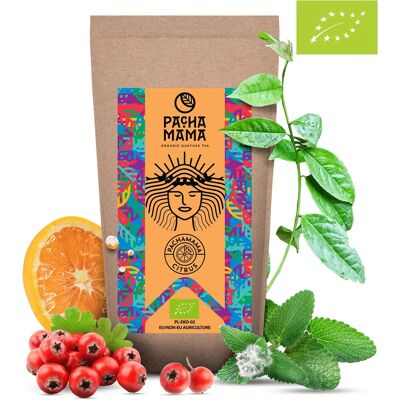 Herbata Zielona Pachamama Cytrynowa 250 G Herbata Zielona Pachamama Cytrynowa 250 G