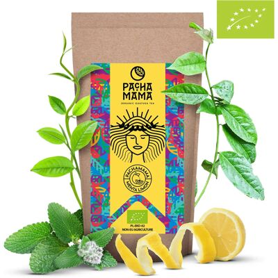 Herbata Zielona Pachamama Z Trawą Cytrynową 250 G Herbata Zielona Pachamama Z Trawą Cytrynową 250 G