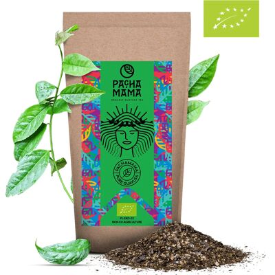 Ilex Guayusa Pachamama Ekologiczna Susz 1000g 1 Kg Ilex Guayusa Pachamama Ekologiczna Susz 1000g 1 Kg