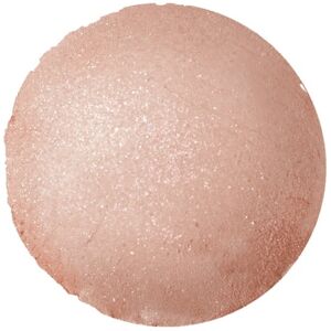 AMILIE MINERAL COSMETICS Rozświetlacz mineralny Tip Top 3,5g AMILIE MINERAL COSMETICS Rozświetlacz mineralny Tip Top 3,5g