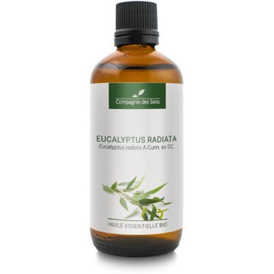 Inny producent Eukaliptus promienisty - naturalny olejek eteryczny 100 ml / Compagnie des Sens Inny producent Eukaliptus promienisty - naturalny olejek eteryczny 100 ml / Compagnie des Sens