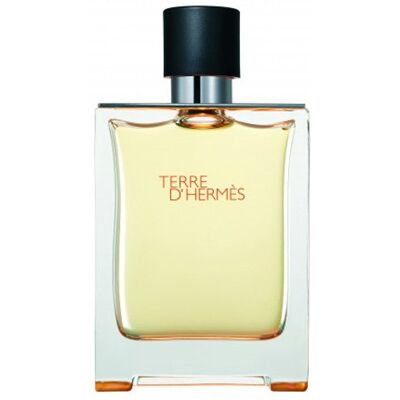 Hermes, Terre d'Hermes, woda toaletowa, 100 ml Hermes, Terre d'Hermes, woda toaletowa, 100 ml