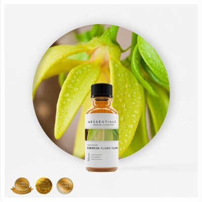 Essentials Olejek zapachowy Esencja Ylang Ylang 50ml Essentials Olejek zapachowy Esencja Ylang Ylang 50ml