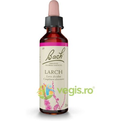 Bach Flower Remedies Larch - Naturalna esencja kwiatowa dla odporności emocjonalnej Bach Flower Remedies Larch - Naturalna esencja kwiatowa dla odporności emocjonalnej