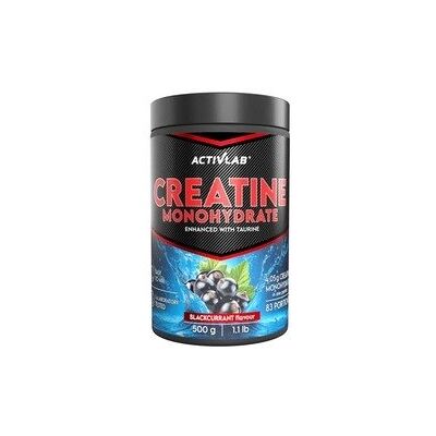 Inny producent Monohydrat kreatyny w proszku 500 g Inny producent Monohydrat kreatyny w proszku 500 g