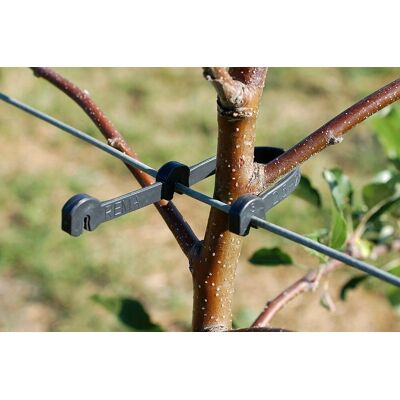Euroflora REMA - 1174 - DOPPELSTAMMHALTER - PODWÓJNY UCHWYT PNIA - długości 125 - 175 mm, dł. 125-175 mm, rozmiar 3 dla ø 3,0 - 3,6 mm Euroflora REMA - 1174 - DOPPELSTAMMHALTER - PODWÓJNY UCHWYT PNIA - długości 125 - 175 mm, dł. 125-175 mm, rozmiar 3 dla ø 3,0 - 3,6 mm