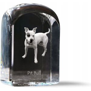 ART Amerykański pitbulterier, Pit Bull, American Pit Bull Terrier, Pitbul, APBT ART Amerykański pitbulterier, Pit Bull, American Pit Bull Terrier, Pitbul, APBT