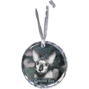 ART Cornish Rex - Kryształowa Bombka Ze Zdjęciem, Zdjęcia Kota W Krysztale, Per ART Cornish Rex - Kryształowa Bombka Ze Zdjęciem, Zdjęcia Kota W Krysztale, Per