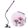 Roneberg Lampa Led Do Wzrostu Uprawy Roślin - Grow Light