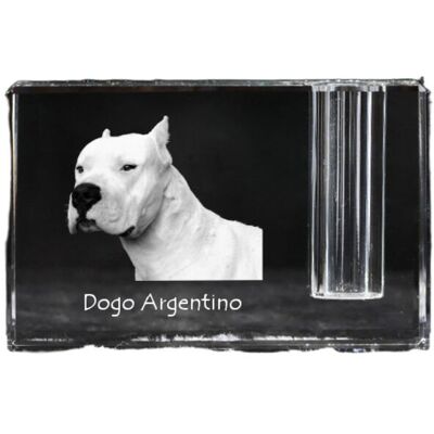 Dog argentyński, Dogo Argentino - stojak na długopis, kryształowy organizer ze zdjęciem psa, unikatowa ozdoba biurka marki Art-Dog Dog argentyński, Dogo Argentino - stojak na długopis, kryształowy organizer ze zdjęciem psa, unikatowa ozdoba biurka marki Art-Dog