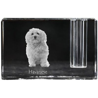 Hawańczyk, Havanese - stojak na długopis, kryształowy organizer ze zdjęciem psa, unikatowa ozdoba biurka marki Art-Dog Hawańczyk, Havanese - stojak na długopis, kryształowy organizer ze zdjęciem psa, unikatowa ozdoba biurka marki Art-Dog