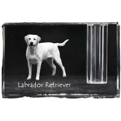 Labrador Retriever I - stojak na długopis, kryształowy organizer ze zdjęciem psa, unikatowa ozdoba biurka marki Art-Dog Labrador Retriever I - stojak na długopis, kryształowy organizer ze zdjęciem psa, unikatowa ozdoba biurka marki Art-Dog