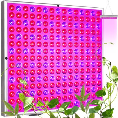 Gardlov 225 LED do wzrostu roślin - Wsparcie wzrostu roślin Gardlov 225 LED do wzrostu roślin - Wsparcie wzrostu roślin