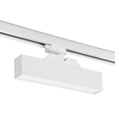 Lampa Reflektor Spot Szynowy Led 12W Linnea 29 Track 3Line Cct Az4564 Azzardo Lampa Reflektor Spot Szynowy Led 12W Linnea 29 Track 3Line Cct Az4564 Azzardo
