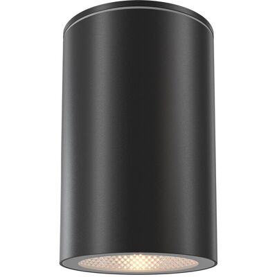 Lampa sufitowa Maytoni Outdoor Roll Maytoni O307CL-01B Lampa sufitowa Maytoni Outdoor Roll Maytoni O307CL-01B