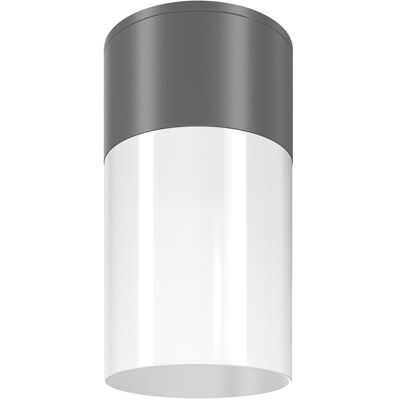 Lampa sufitowa Maytoni Outdoor Willis Maytoni O418CL-01GR Lampa sufitowa Maytoni Outdoor Willis Maytoni O418CL-01GR