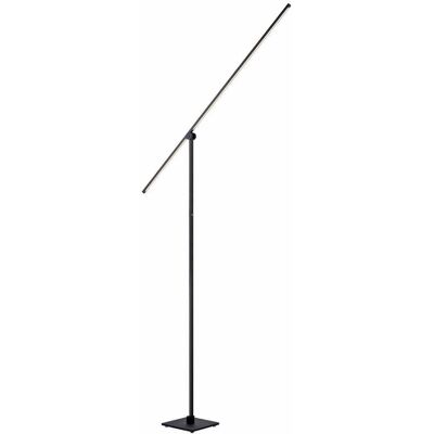 Lampa podłogowa LED Pure-Grafo z regulatorem Lampa podłogowa LED Pure-Grafo z regulatorem