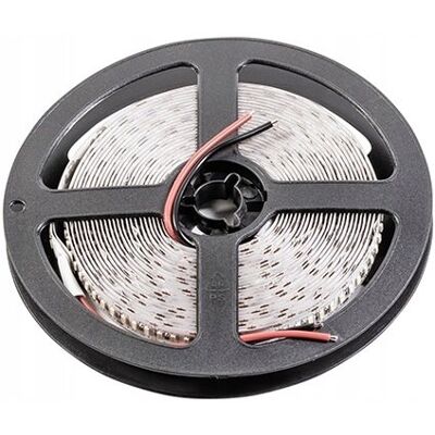 GTV Taśma Flash 3014, 1200 LED zimny biały 53W 10mm 5m GTV Taśma Flash 3014, 1200 LED zimny biały 53W 10mm 5m