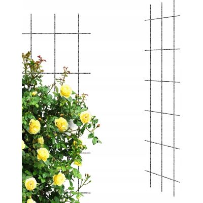 Elgarden Krata Metalowa Podpora Na Pnącza 45x150 cm Pergola Elgarden Krata Metalowa Podpora Na Pnącza 45x150 cm Pergola