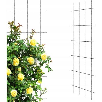 Elgarden Krata Metalowa Podpora Na Pnącza 60x150 cm Pergola Elgarden Krata Metalowa Podpora Na Pnącza 60x150 cm Pergola
