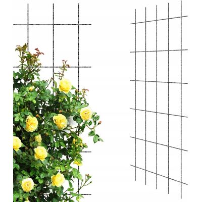 Elgarden Krata Metalowa Podpora Na Pnącza 75x150 cm Pergola Elgarden Krata Metalowa Podpora Na Pnącza 75x150 cm Pergola