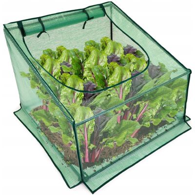 Mini szklarnia ogrodowa, do uprawy roślin, 70x90, zielona TYLETEGOTU Mini szklarnia ogrodowa, do uprawy roślin, 70x90, zielona TYLETEGOTU