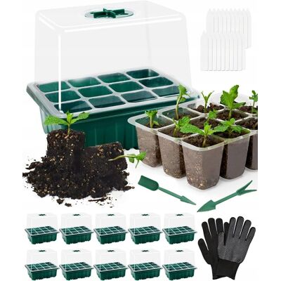 Inny producent Mini szklarnia pokojowa, skrzynka do uprawy, 10 sztuk, mini szklarnia, zest Inny producent Mini szklarnia pokojowa, skrzynka do uprawy, 10 sztuk, mini szklarnia, zest