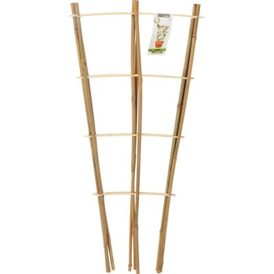 Podpora Do Roślin Bambusowa Drabinka 75 Cm 3szt Progarden Podpora Do Roślin Bambusowa Drabinka 75 Cm 3szt Progarden