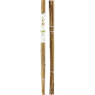 Podpora Do Roślin Bambusowa Tyczka 78 Cm 10szt Progarden Podpora Do Roślin Bambusowa Tyczka 78 Cm 10szt Progarden