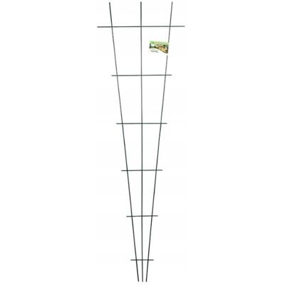 Planta Podpora Wachlarzowa Do Roślin Pnących 150x45cm Zielona Planta Podpora Wachlarzowa Do Roślin Pnących 150x45cm Zielona