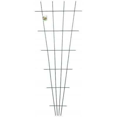 Planta Podpora wachlarzowa do roślin pnących 150x60cm Stabilne wsparcie dla ogrodu Planta Podpora wachlarzowa do roślin pnących 150x60cm Stabilne wsparcie dla ogrodu