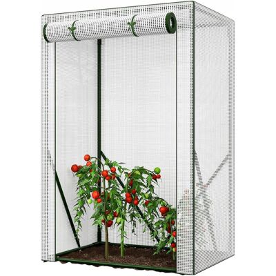 Inny producent SZKLARNIA FOLIOWA NA POMIDORY 100x50x150 CM Z DRZWIAMI ZWIJANYMI (BEZ RAMY) Inny producent SZKLARNIA FOLIOWA NA POMIDORY 100x50x150 CM Z DRZWIAMI ZWIJANYMI (BEZ RAMY)
